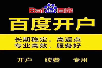 百度竞价案例：如何应对广告竞争压力